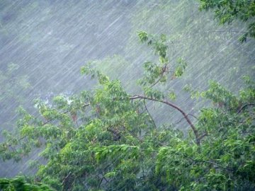 Дуже сильні дощі та грози: волинян попереджають про негоду