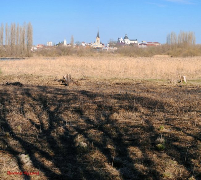 Луцький фотограф показав, де «мавки зимували»