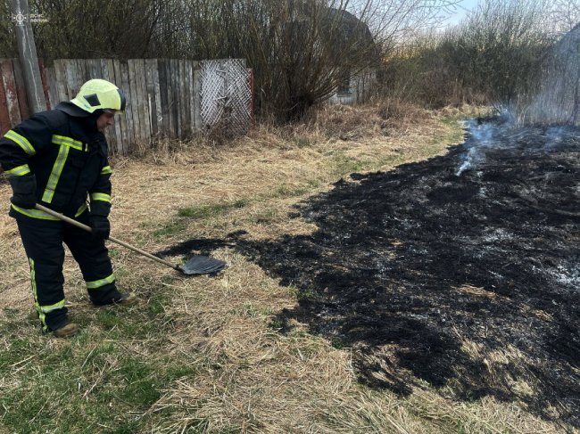 На Волині через підпал сухої трави ледь не згоріла дача