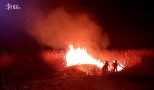 На Волині через підпал сухої трави ледь не згоріла дача