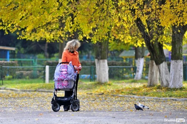 «Бабине літо» і «бебі-бум» Луцьку. ФОТО
