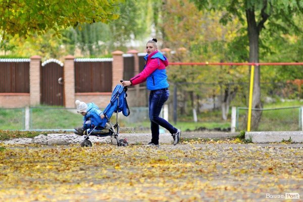 «Бабине літо» і «бебі-бум» Луцьку. ФОТО