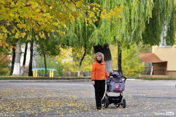 «Бабине літо» і «бебі-бум» Луцьку. ФОТО