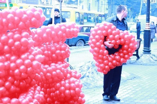 Зсередини: квітковий базар у Луцьку