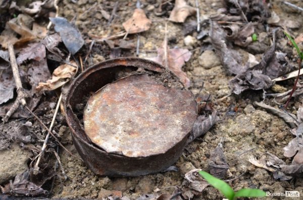 Як прибирали Луцьк