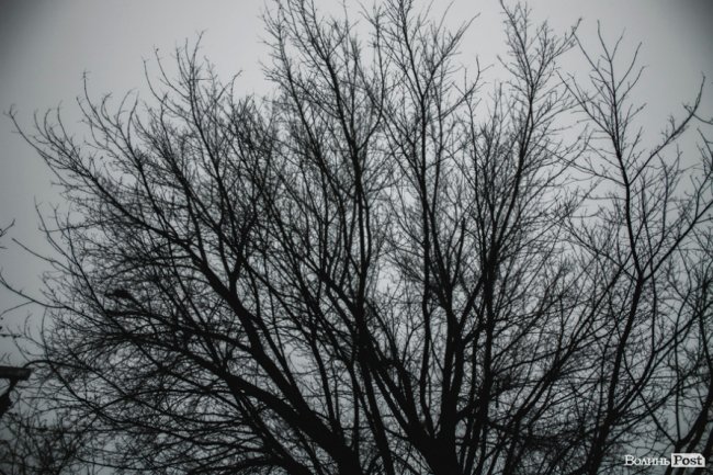 Туманний Луцьк: неймовірні фото 