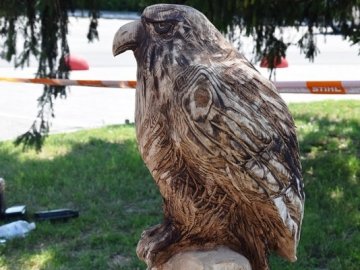 У Луцьку на місцях зрізаних дерев хочуть робити скульптури