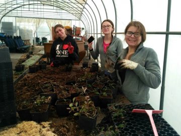 Волинські студенти проходять практику у Словаччині. ФОТО