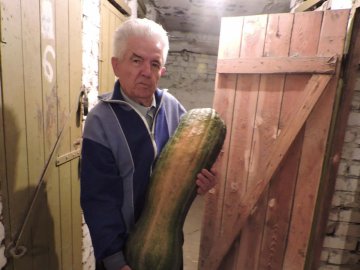 Лучанин виростив кавбуза-гіганта. ФОТО