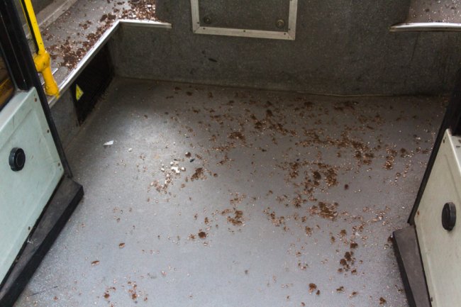 У Києві маршрутка зіткнулася із тролейбусом. ФОТО. ВІДЕО