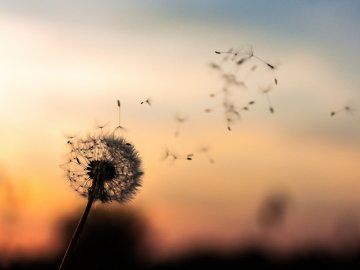 Останні дні літа: якою буде погода на Волині