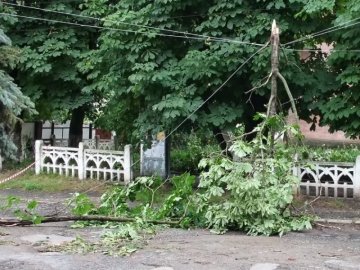 Через буревій декілька сіл на Волині залишились без світла 