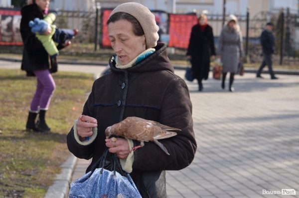 В Луцьку майже весна. ФОТО