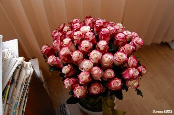 Екскурсія виборчими штабами Луцька. ФОТО