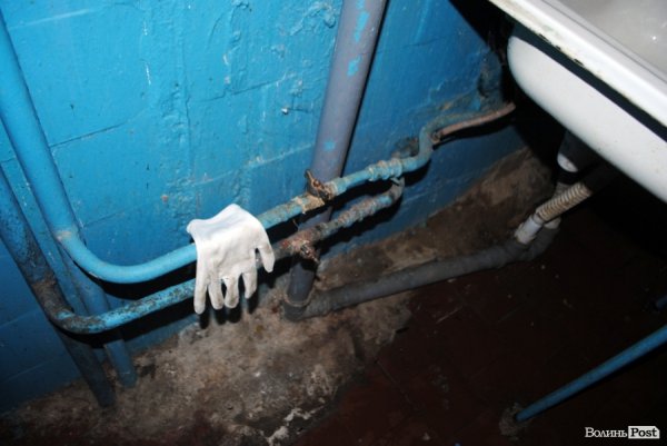 Студентський ревізор: жалюзі з шпалер та «тушкований голуб» в гуртожитку №3