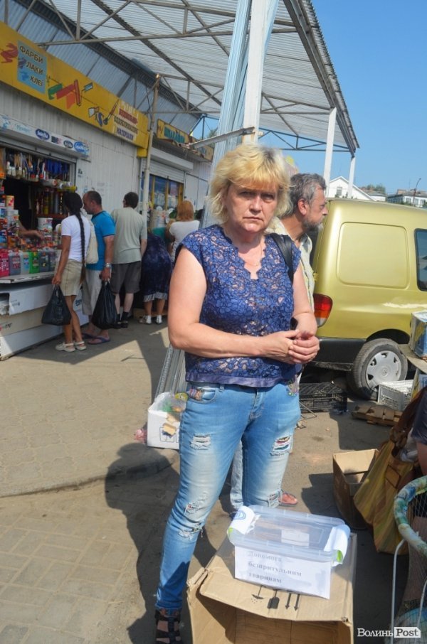 На ринку Луцька – флеш-моб на підтримку бездомних тварин 