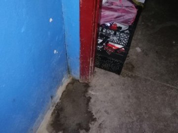 Додому зносить сміття, а фекалії виливає у під'їзді: хто змусить лучанку-нечупару поприбирати. ВІДЕО