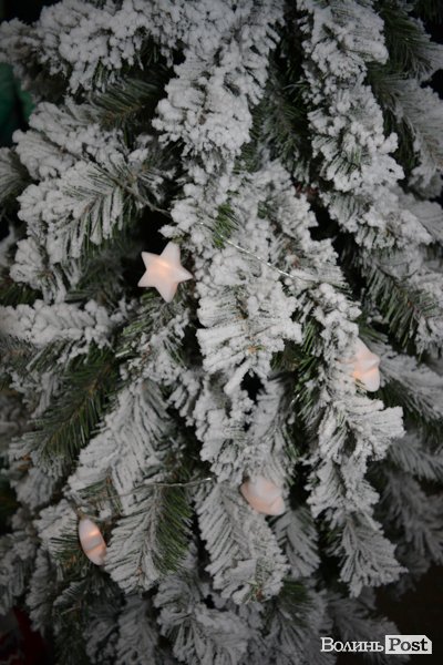 Як ТЦ «Ювант» здійснював мрії. ФОТО*