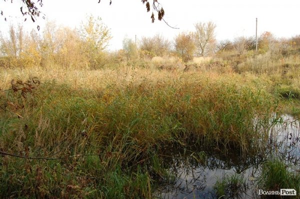 Як у Луцьку зачистили стихійне сміттєзвалище, уникнувши криміналу. ФОТО
