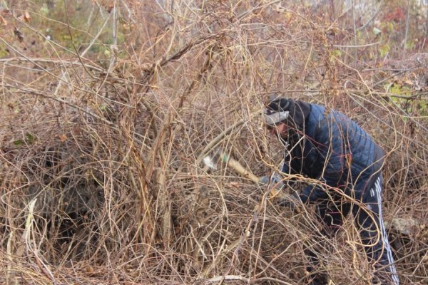 Луцькі тролейбусники влаштували генеральне прибирання