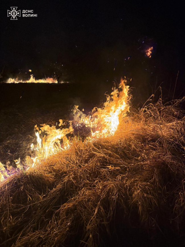 На Волині через уламки скла загорілася суха трава: сфокусували сонячне проміння