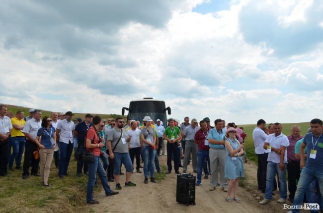 Аграрна еліта серед пшеничних колосків: на Волині – День поля. ФОТО