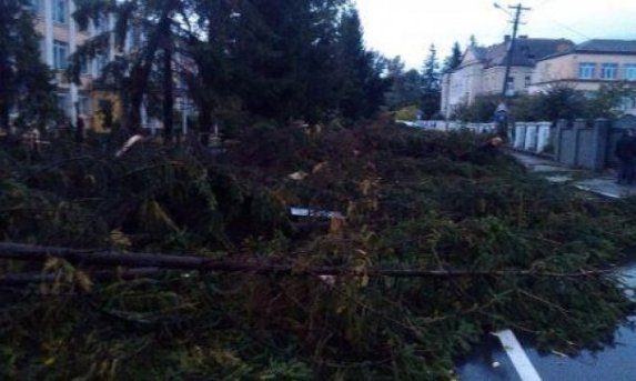 Фото наслідків урагану на Львівщині