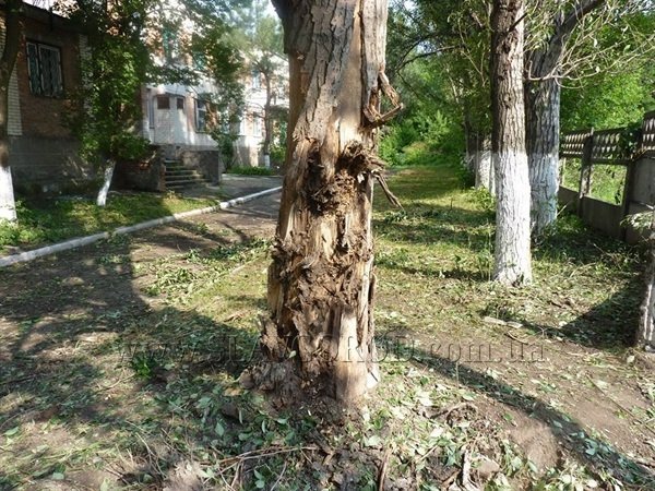 У Слов'янську у дитячу поліклініку влучив снаряд. ФОТО. ВІДЕО
