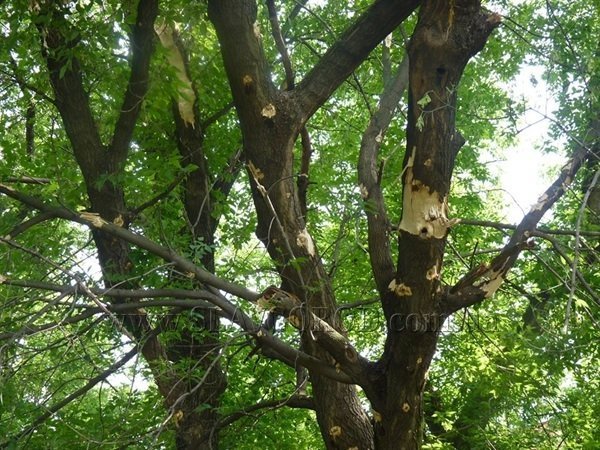 У Слов'янську у дитячу поліклініку влучив снаряд. ФОТО. ВІДЕО