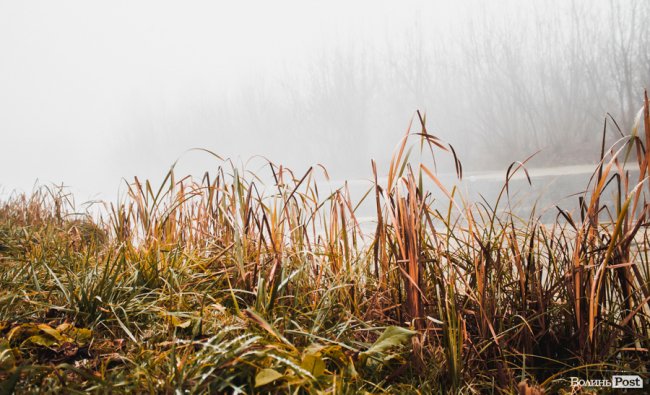 Туманний Луцьк: неймовірні фото 