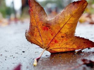 Погода у Луцьку та Волинській області на завтра, 30 листопада