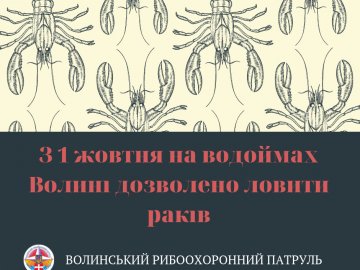 На Волині закінчилась заборона на вилов раків