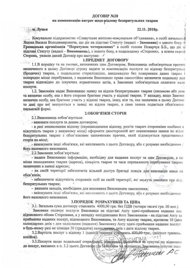 Скандальна Дана Новарчук звозить до Луцька бродячих собак з інших міст України, – петиція