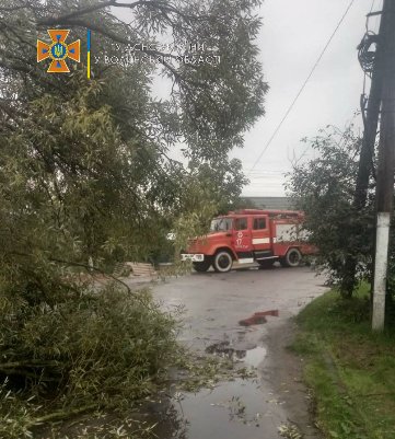 Наслідки негоди: на Волині дерево впало на дорогу та заблокувало проїзд