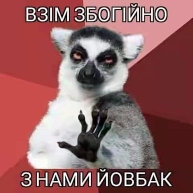 Соцмережі вибухнули новим мемом #Йовбак. ФОТО