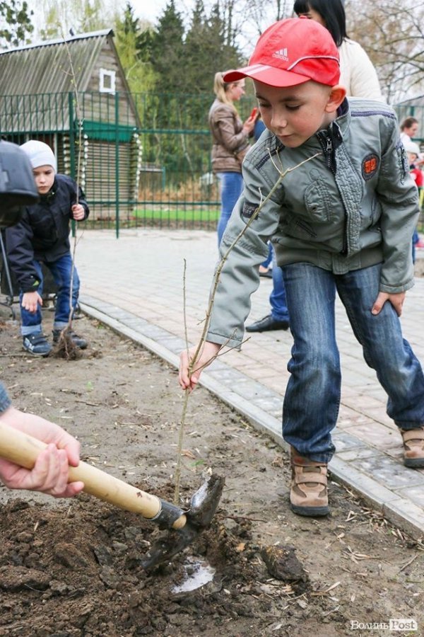 Луцький зоопарк став ще зеленішим. ФОТО