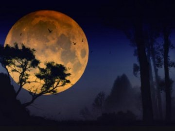 Коридор затемнень: чим небезпечний і що чекає на знаки зодіаку