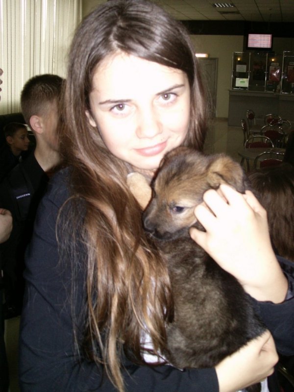 У Луцьку запровадили «уроки» гуманності