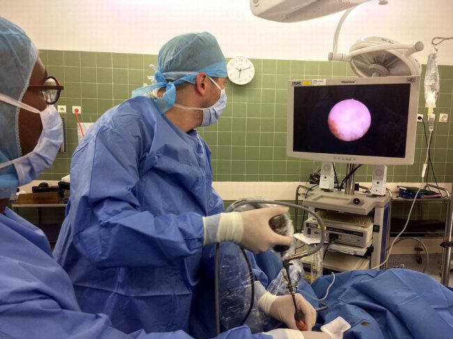 Лікар з Луцька рік працював у Франції. ФОТО