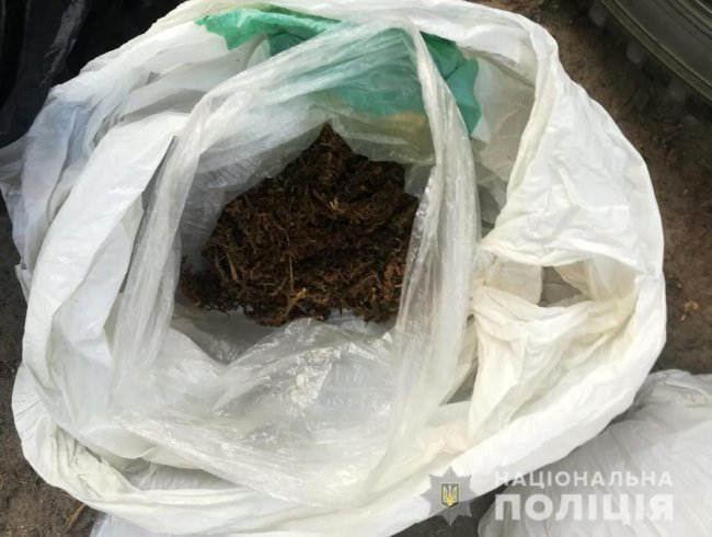 У гаражі лучанина знайшли бурштин та наркотики. ФОТО