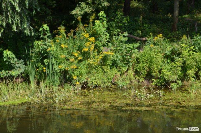 Стир судноплавний, або Подорож луцькою Амазонкою. ФОТО