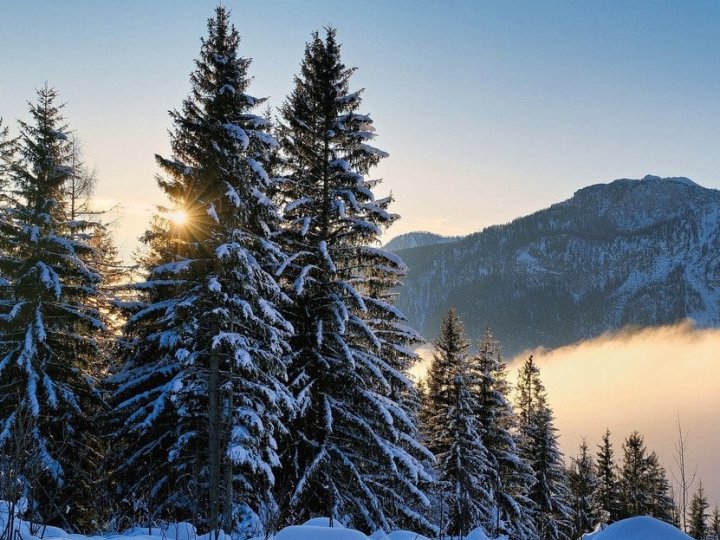 Карпатська мольфарка зробила прогноз про зиму в Україні: чого очікувати