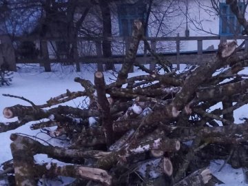 На Волині через дрова спалахнув скандал: міському голові погрожують спалити дім 