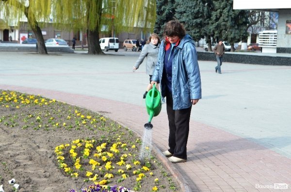 Як заквітчують центральну площу Луцька. ФОТО