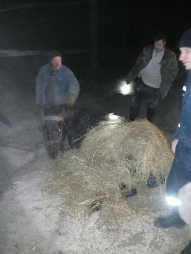 Як на Волині витягали з 2-метрової ями коня