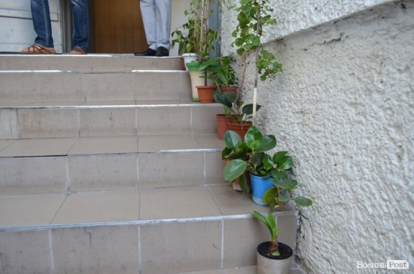 Такі вазони ростуть перед двором для прогулянок затриманих