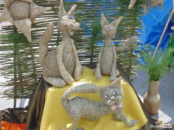 День Європи у  Луцьку. ФОТО