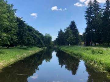 У центральному парку Луцька від сміття та дерев почистять канали 