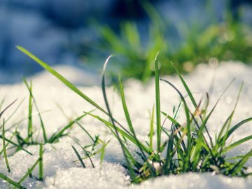 Синоптики попередили українців про мороз уночі