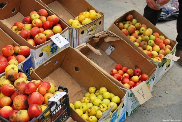 Луцьк ярмаркував. ФОТО